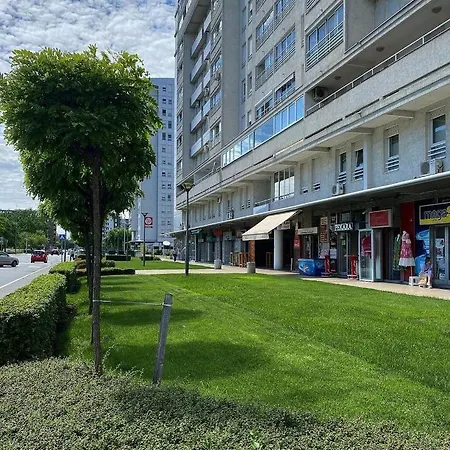 Belville, Suncokret 26 * ベオグラード